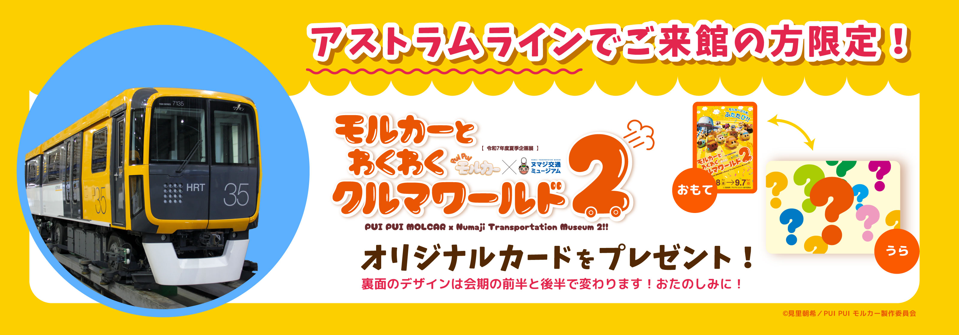 令和7年度夏季企画展お知らせ