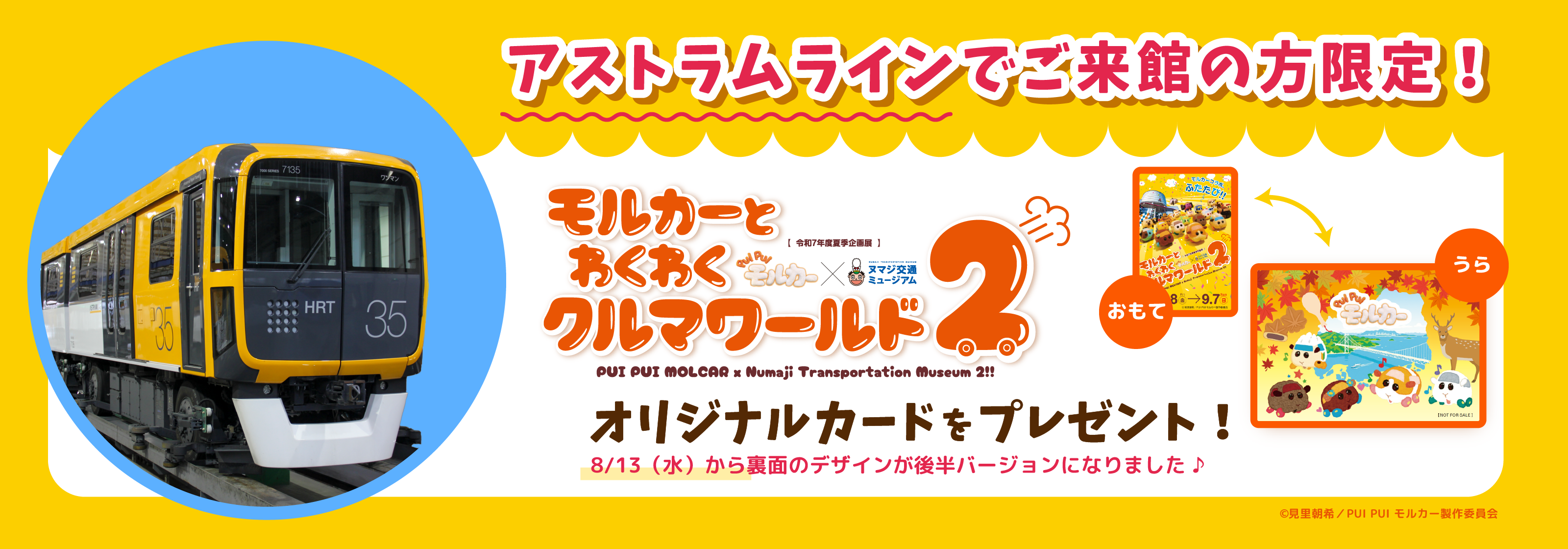 令和7年度夏季企画展お知らせ